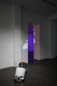 I_have_seen_rality_ friedrich_biedermann_2020_ Polylog_05